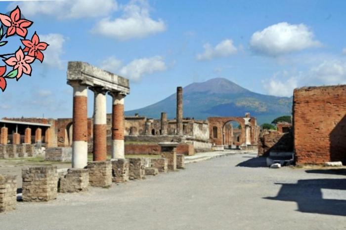 スカファーティ Pompei House Bed & Breakfast エクステリア 写真
