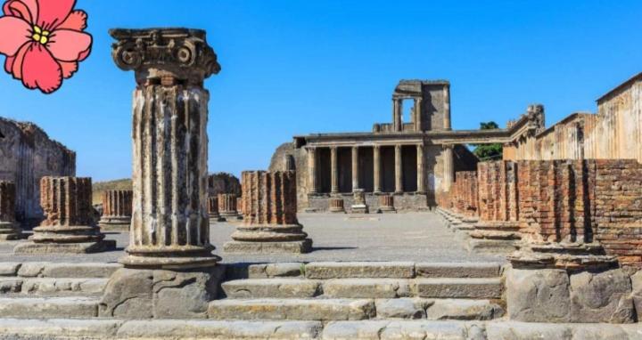 スカファーティ Pompei House Bed & Breakfast エクステリア 写真